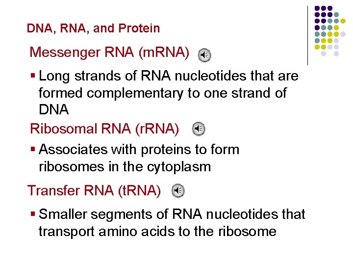 Molecular Genetics DNA, RNA, and Protein Messenger RNA (m. RNA) § Long strands of