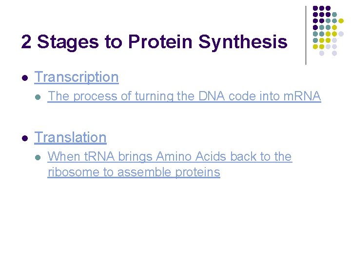2 Stages to Protein Synthesis l Transcription l l The process of turning the