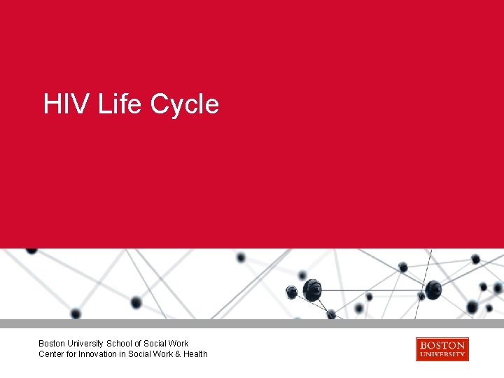 HIV Life Cycle Boston University School of Social Work Center for Innovation in Social