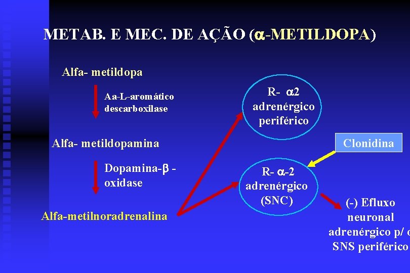 METAB. E MEC. DE AÇÃO ( -METILDOPA) Alfa- metildopa Aa-L-aromático descarboxilase R- 2 adrenérgico