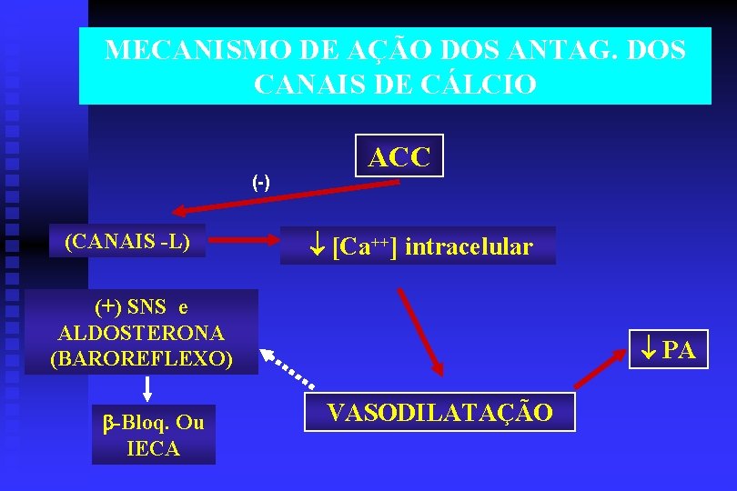 MECANISMO DE AÇÃO DOS ANTAG. DOS CANAIS DE CÁLCIO (-) (CANAIS -L) ACC [Ca++]