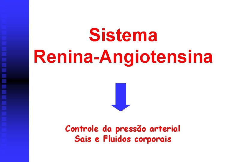 Sistema Renina-Angiotensina Controle da pressão arterial Sais e Fluidos corporais 