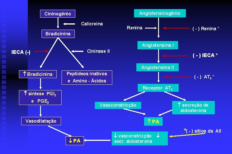 Angiotensinogênio Cininogênio Calicreína Renina ( - ) Renina * Bradicinina Angiotensina I Cininase II