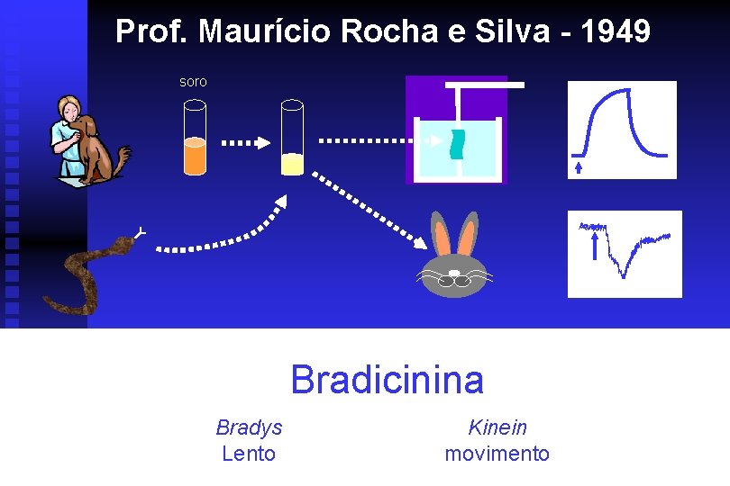 Prof. Maurício Rocha e Silva - 1949 soro Bradicinina Bradys Lento Kinein movimento 