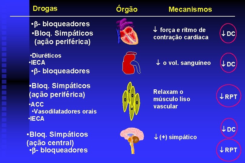 Drogas • - bloqueadores • Bloq. Simpáticos (ação periférica) • Diuréticos • IECA •