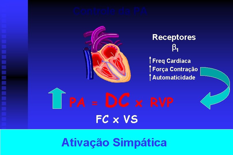 Controle da PA Receptores 1 Freq Cardíaca Força Contração Automaticidade PA = DC x