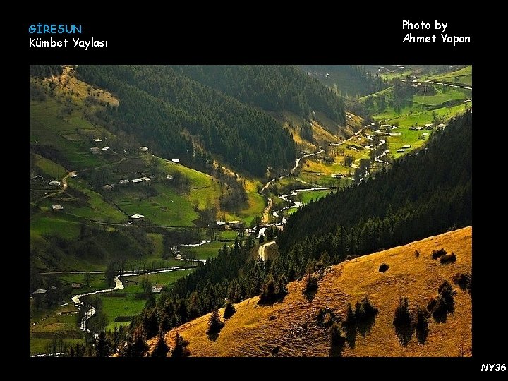 GİRESUN Kümbet Yaylası Photo by Ahmet Yapan NY 36 