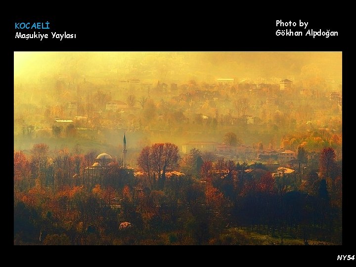 KOCAELİ Maşukiye Yaylası Photo by Gökhan Alpdoğan NY 54 