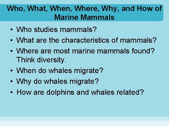 Who, What, When, Where, Why, and How of Marine Mammals • Who studies mammals?