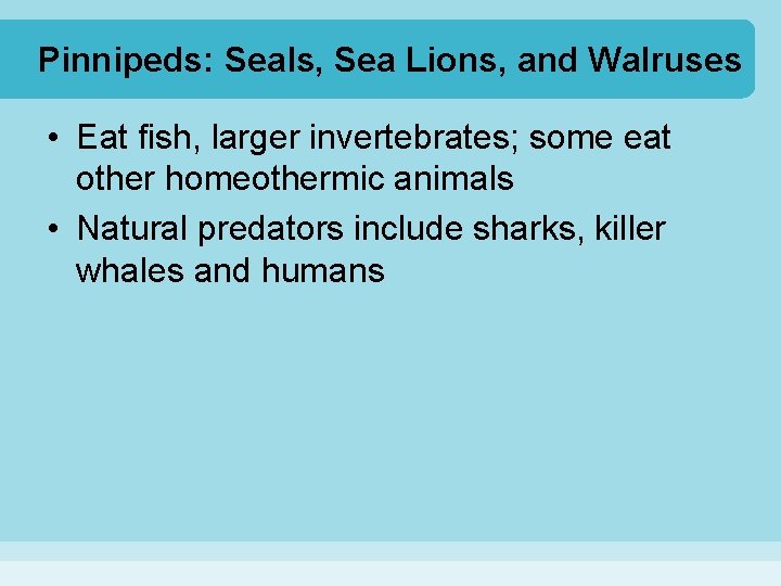 Pinnipeds: Seals, Sea Lions, and Walruses • Eat fish, larger invertebrates; some eat other