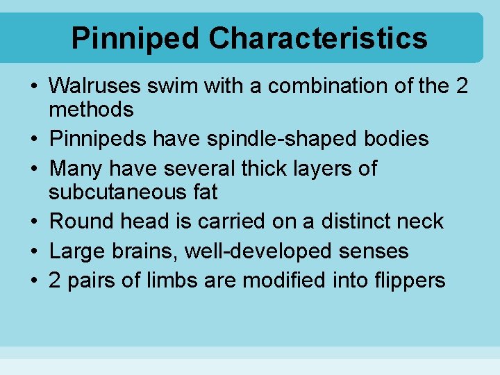 Pinniped Characteristics • Walruses swim with a combination of the 2 methods • Pinnipeds