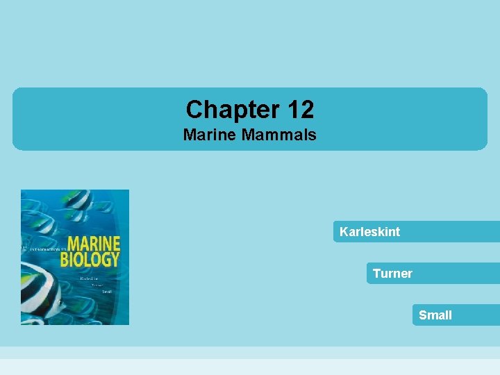 Chapter 12 Marine Mammals Karleskint Turner Small 