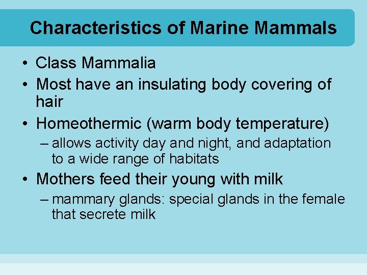 Characteristics of Marine Mammals • Class Mammalia • Most have an insulating body covering