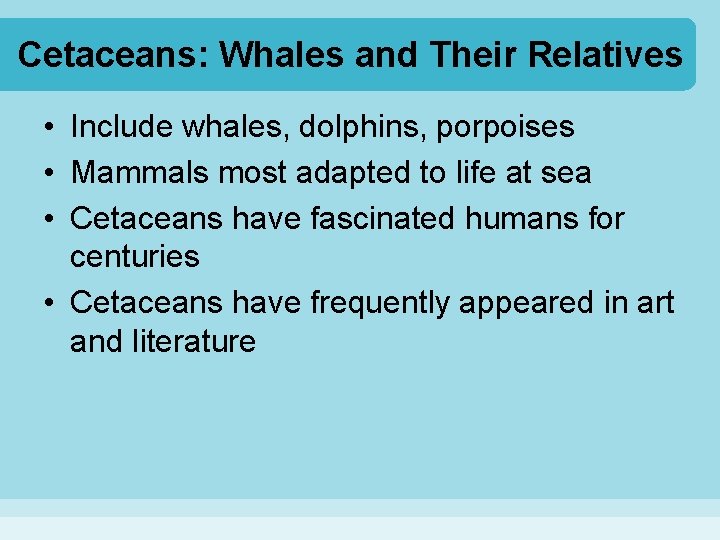 Cetaceans: Whales and Their Relatives • Include whales, dolphins, porpoises • Mammals most adapted