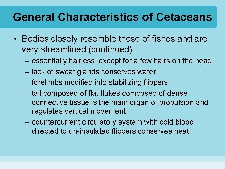 General Characteristics of Cetaceans • Bodies closely resemble those of fishes and are very