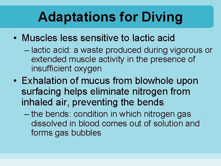 Adaptations for Diving • Muscles less sensitive to lactic acid – lactic acid: a