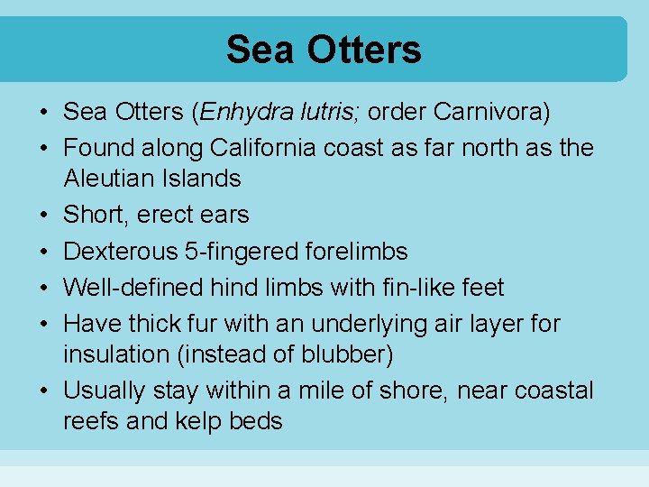 Sea Otters • Sea Otters (Enhydra lutris; order Carnivora) • Found along California coast