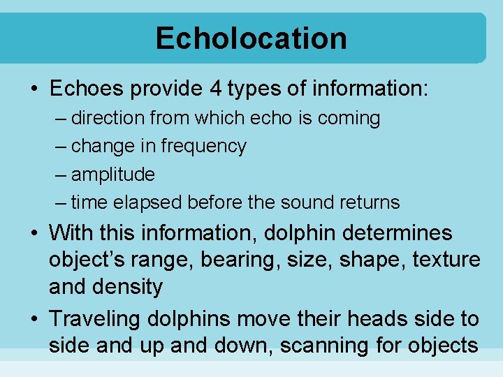 Echolocation • Echoes provide 4 types of information: – direction from which echo is