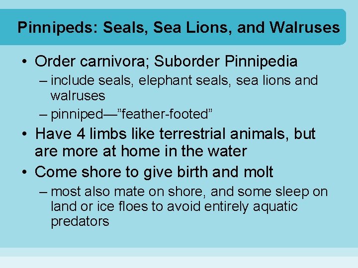 Pinnipeds: Seals, Sea Lions, and Walruses • Order carnivora; Suborder Pinnipedia – include seals,