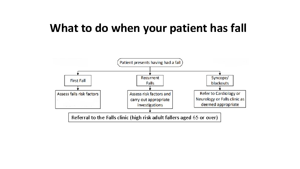 What to do when your patient has fall Referral to the Falls clinic (high