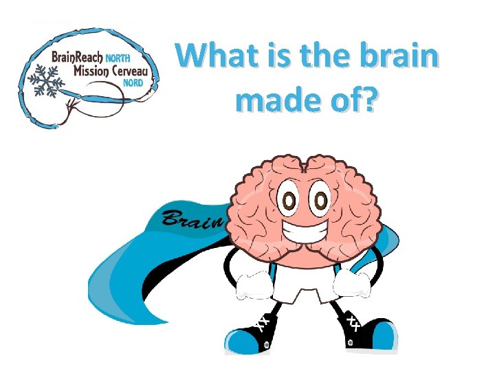 What is the brain made of? 