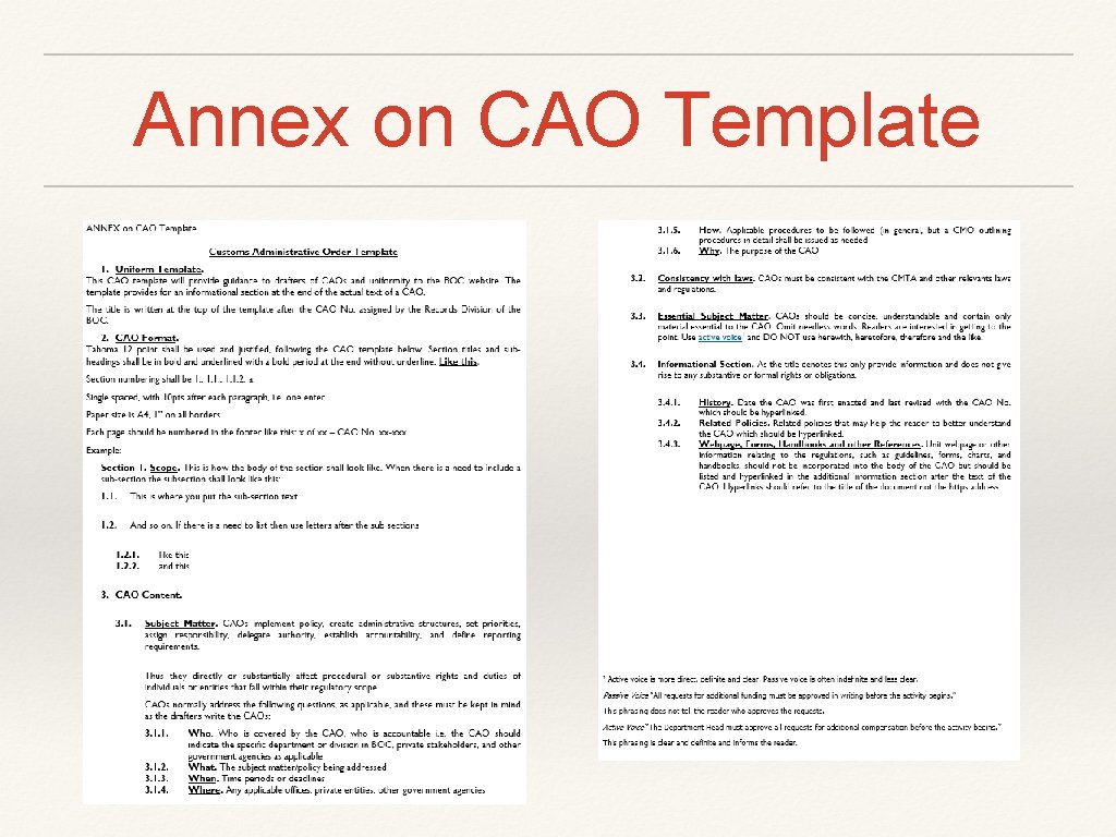 Annex on CAO Template 
