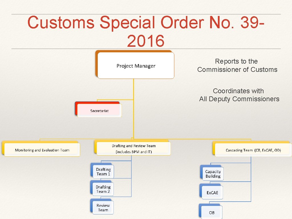 Customs Special Order No. 392016 Reports to the Commissioner of Customs Coordinates with All