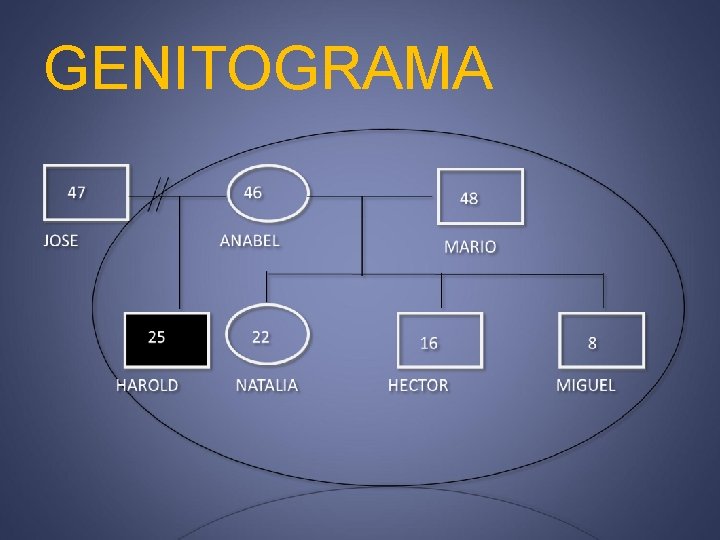 GENITOGRAMA 