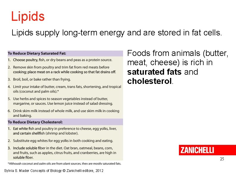 Lipids supply long-term energy and are stored in fat cells. Foods from animals (butter,