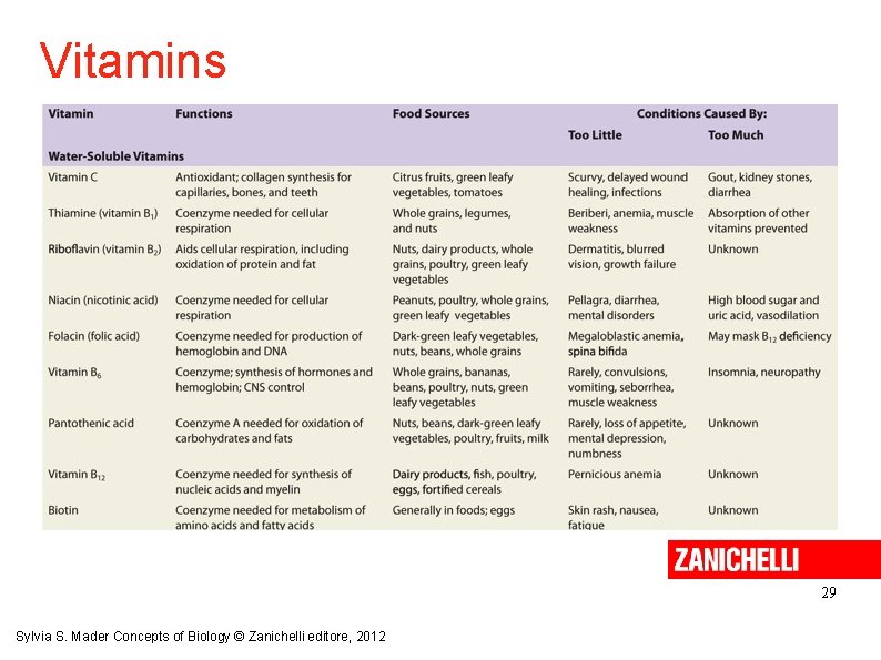 Vitamins 29 Sylvia S. Mader Concepts of Biology © Zanichelli editore, 2012 