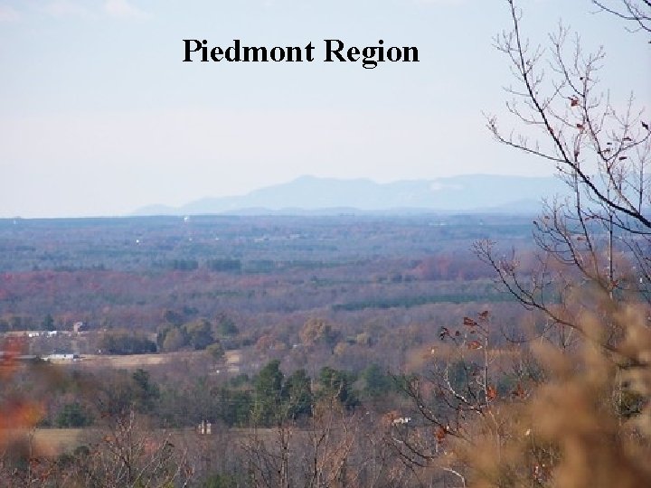 Piedmont Region 