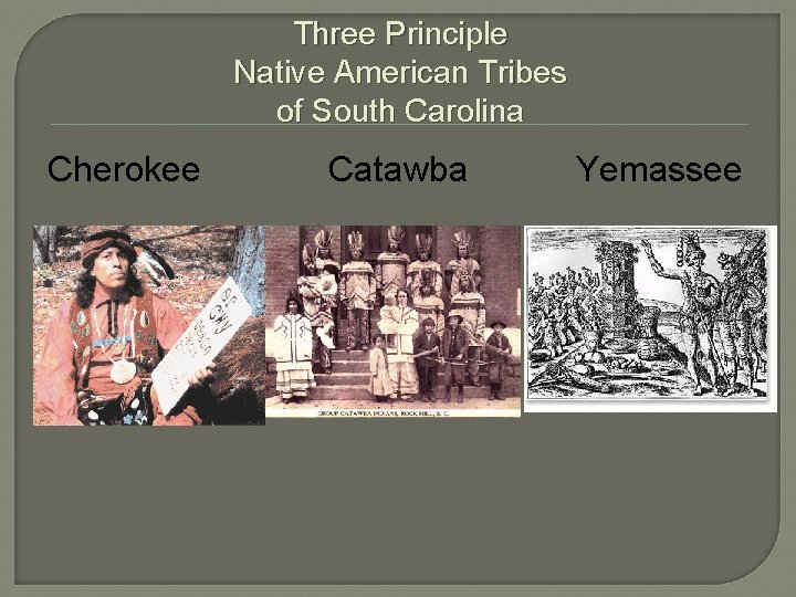 Three Principle Native American Tribes of South Carolina Cherokee Catawba Yemassee 