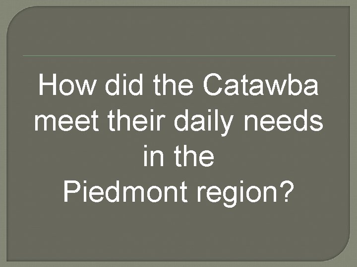 How did the Catawba meet their daily needs in the Piedmont region? 