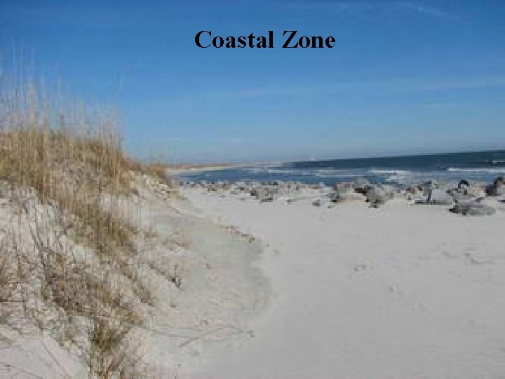 Coastal Zone 