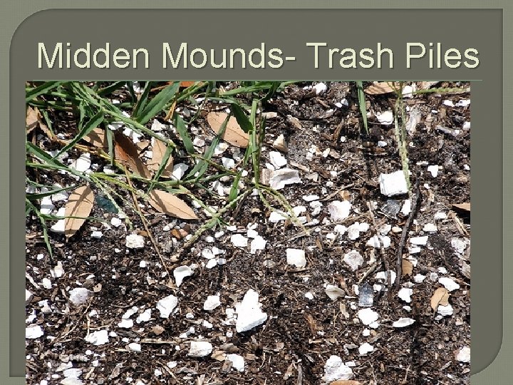 Midden Mounds- Trash Piles 