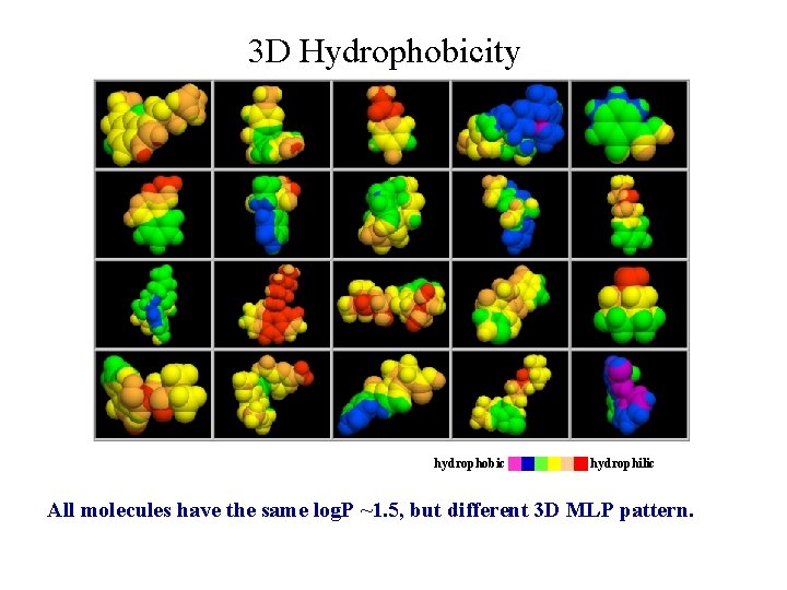 3 D Hydrophobicity hydrophobic hydrophilic All molecules have the same log. P ~1. 5,