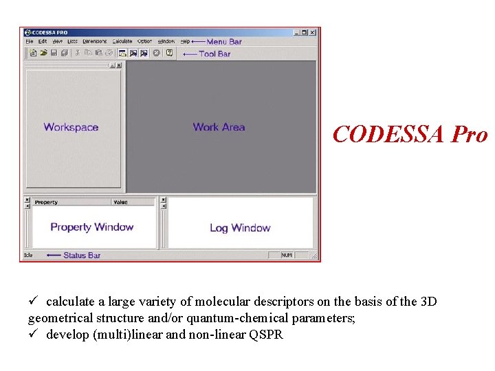 CODESSA Pro ü calculate a large variety of molecular descriptors on the basis of