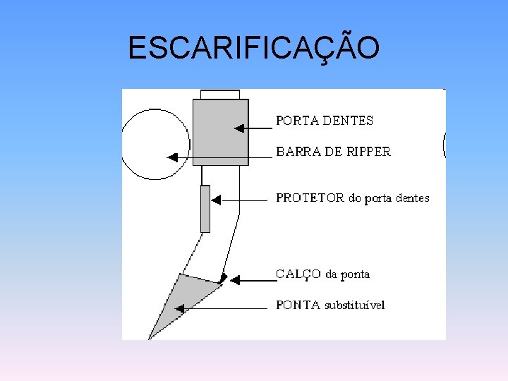 ESCARIFICAÇÃO 