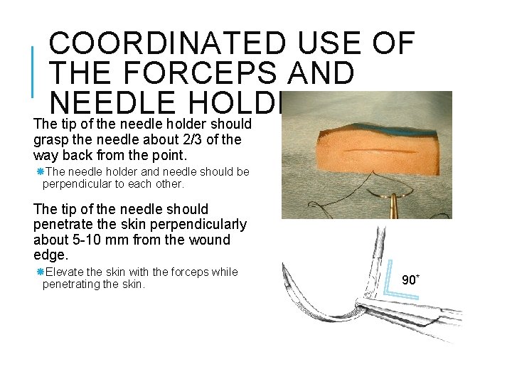 COORDINATED USE OF THE FORCEPS AND NEEDLE HOLDER The tip of the needle holder COORDINATED USE OF THE FORCEPS AND NEEDLE HOLDER The tip of the needle holder