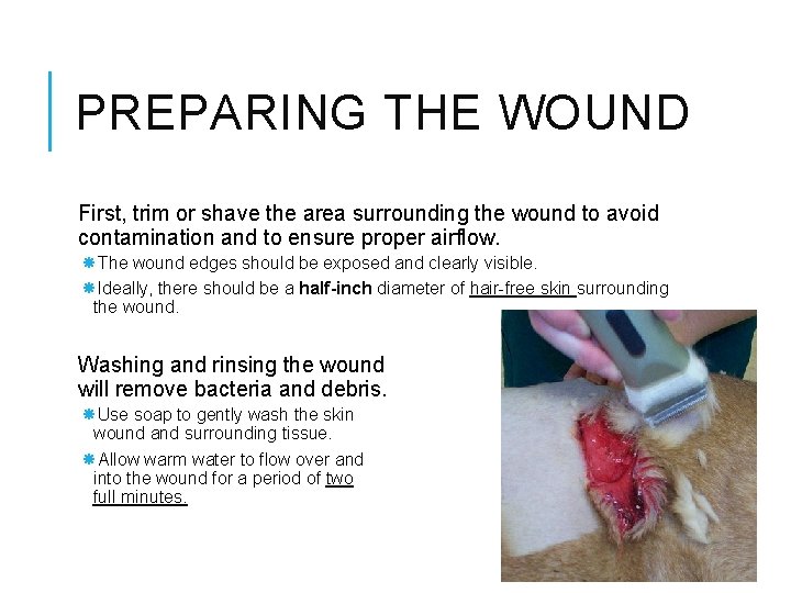PREPARING THE WOUND First, trim or shave the area surrounding the wound to avoid PREPARING THE WOUND First, trim or shave the area surrounding the wound to avoid