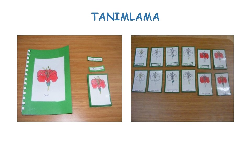 TANIMLAMA TANIMLAMA