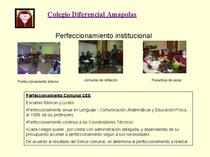 Colegio Diferencial Amapolas Perfeccionamiento institucional Perfeccionamiento interno Jornadas de reflexión Pasantías de aulas Perfeccionamiento