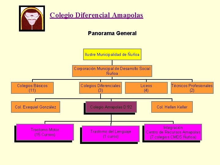 Colegio Diferencial Amapolas Panorama General Ilustre Municipalidad de Ñuñoa Corporación Municipal de Desarrollo Social