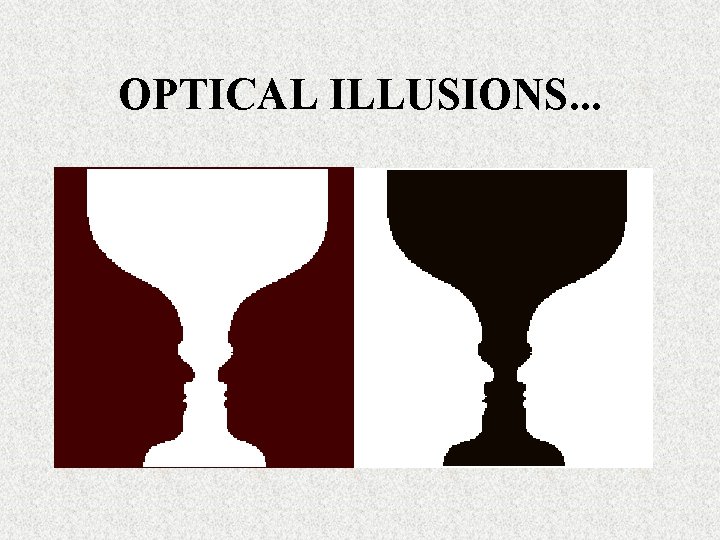 OPTICAL ILLUSIONS. . . OPTICAL ILLUSIONS. . .