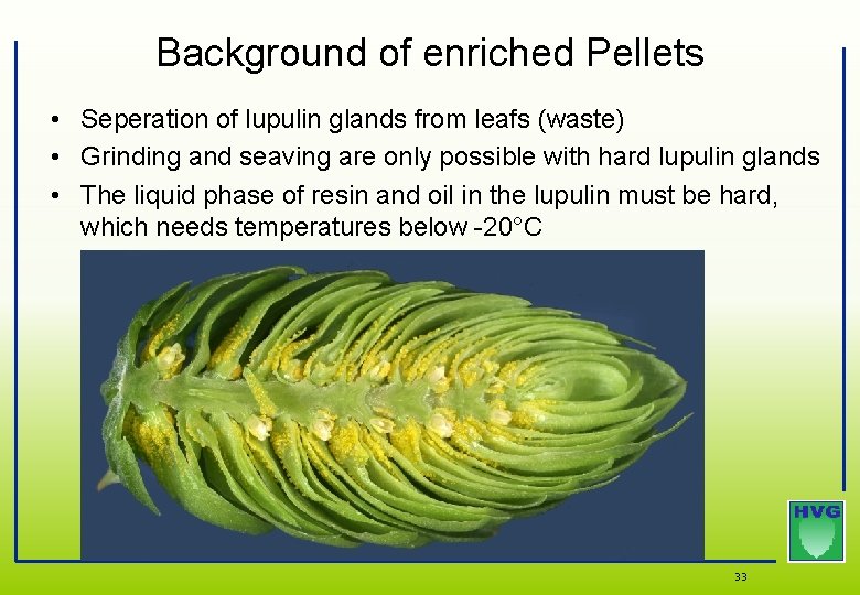 Background of enriched Pellets • Seperation of lupulin glands from leafs (waste) • Grinding Background of enriched Pellets • Seperation of lupulin glands from leafs (waste) • Grinding