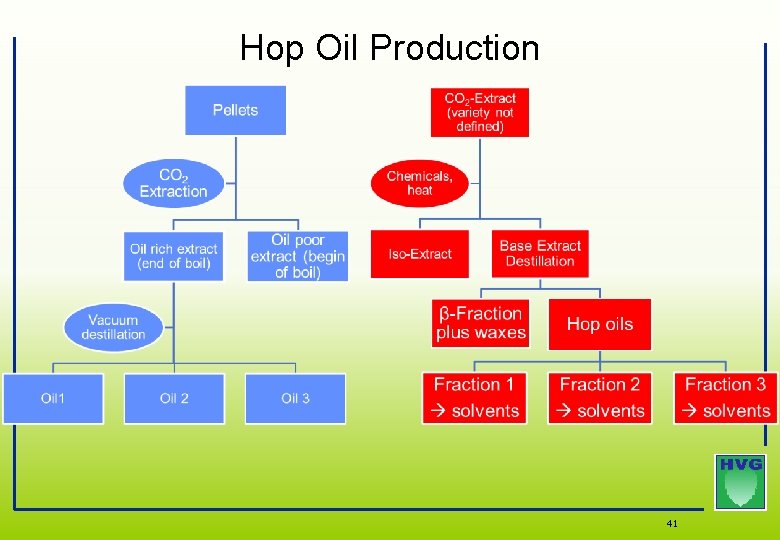 Hop Oil Production 41 Hop Oil Production 41