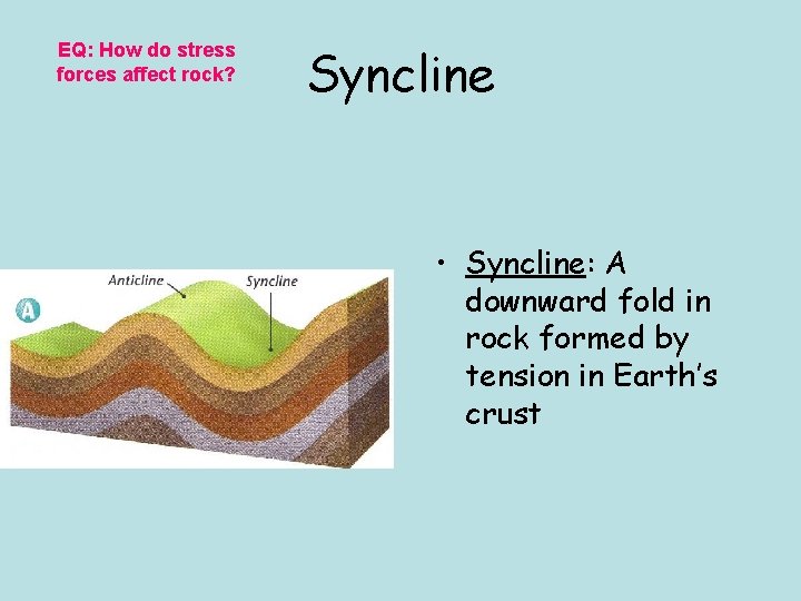 EQ: How do stress forces affect rock? Syncline • Syncline: A downward fold in