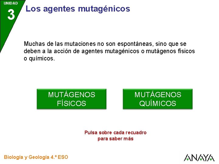 UNIDAD 3 Los agentes mutagénicos Muchas de las mutaciones no son espontáneas, sino que