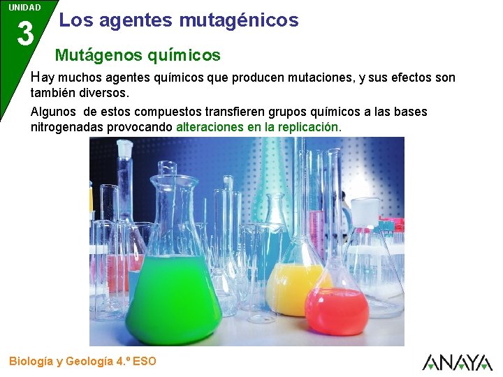 UNIDAD 3 Los agentes mutagénicos Mutágenos químicos Hay muchos agentes químicos que producen mutaciones,