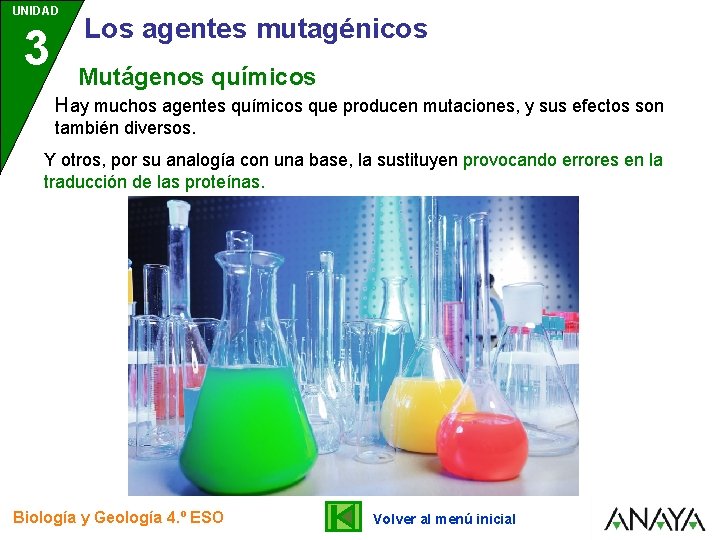 UNIDAD 3 Los agentes mutagénicos Mutágenos químicos Hay muchos agentes químicos que producen mutaciones,